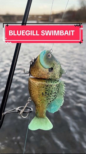 Bluegill SwimBait Making Tutorial