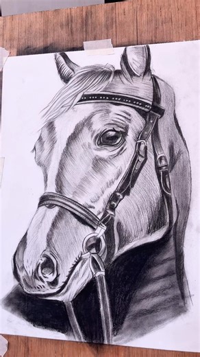 Final part making horse sketch #drawing #art #myartistlife #sketch