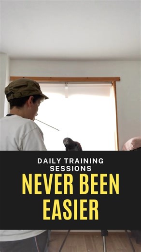 Training an African Grey Parrot Tip: Lots of Tiny Training Sessions