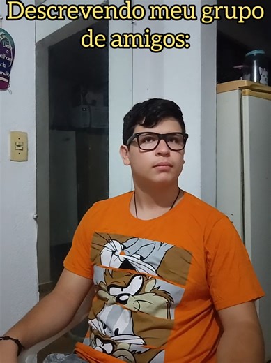 DESCREVENDO MEU GRUPO DE AMIGOS | #humor #grupodeamigos