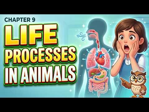 CHAPTER 9 | CLASS 7 SCIENCE | Curiosity, Science | NCERT | Science for kids, CBSE | The Engineer Owl