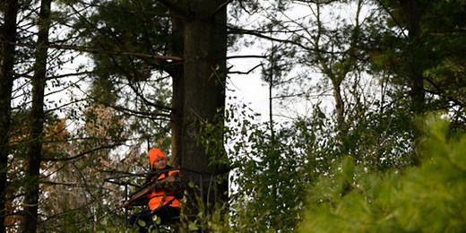 Vermont Fish & Wildlife offers tree stand safety tips