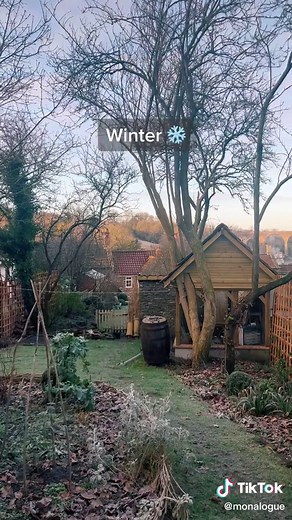 Seasonal Cottage Garden: A Year in My Cottage Garden 🌷🍃