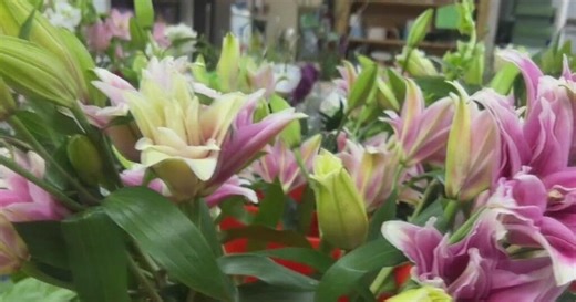 South Florida flower shops feeling pressure of rising costs