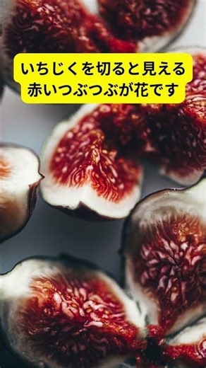 柿はアルコールを分解しやすくする #雑学 #shorts #果物 #プチ知識