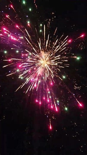 Wolfpack Canister an Exterminator Canisters #fireworks #pyrotechnica #eventpyrotechnik #pyro #shorts