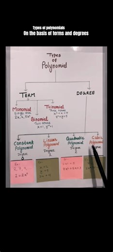 what are polynomials what are their types?on the bases of terms and degrees #mathfactfluency