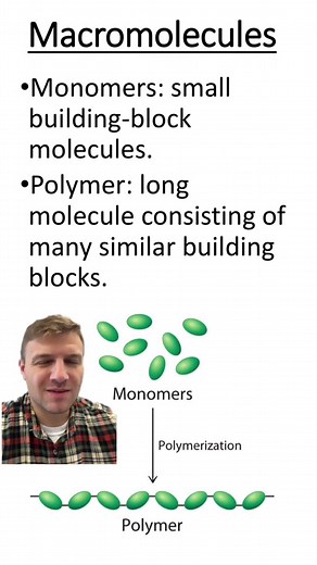 TikTok - Make Your Day