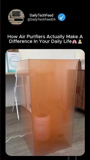 How Air Purifiers Actually Make A Difference In Your Daily Life
