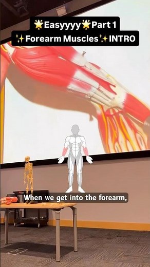 Sooo EASYYY🌟Muscles of the forearm: flexors & extensors side”s”😉