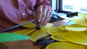 Employment Skills Academy - Pinwheel Flowers for The Hope Garden