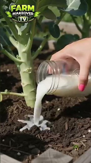 5 Vegetables That Grow Better With These Liquid Fertilizers