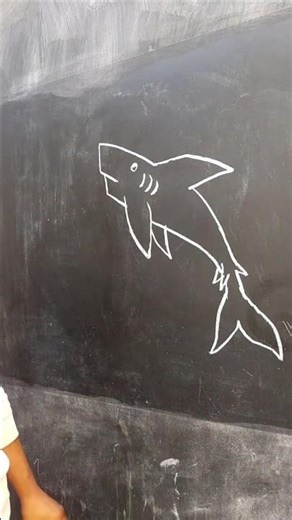 Realistic Dolphin Chalk Board Sketch 🐬 #dolphinsketch #chalkboardart #wildlifedrawing #oceandrawing