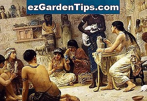Las plantas más importantes cultivadas en el antiguo Egipto 🌱 Tips Jardineros - Es.ezGardenTips.com