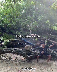 part 1 Pfoto Live Core #fotolive#core#lucu#fyp#tofaeditt