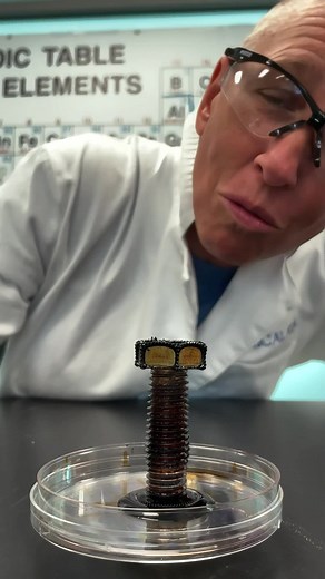 One of my favorite science videos is Ferrofluid #ScienceatHome Ferrofluid is a liquid that becomes strongly magnetized in the presence of a magnetic field. It consists of tiny magnetic particles suspended in a carrier fluid. When exposed to a magnet, the particles align along the field lines, creating unique, spiky shapes. It's used in various applications, from art to engineering, demonstrating the fascinating interaction between magnetism and fluid dynamics. #Chemistry #STEMTok