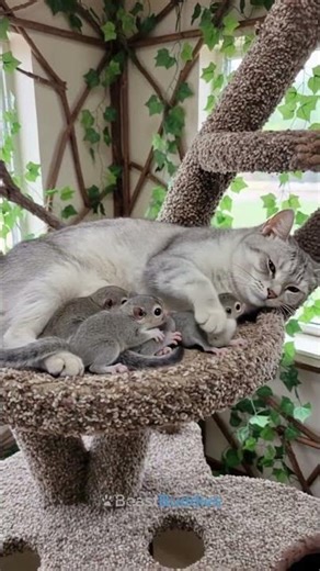 Cat Nurses Baby Flying Squirrels in Tree Haven 🐿️✨