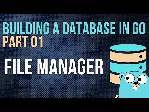 Building a Database from Scratch in Go (part 01) - File Manager