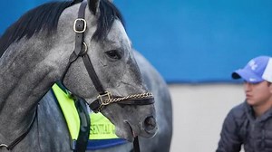 Essential Quality early Kentucky Derby favorite