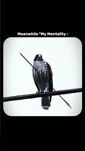 CRUSH Your Goals in 2026: The ULTIMATE Blueprint You NEED!