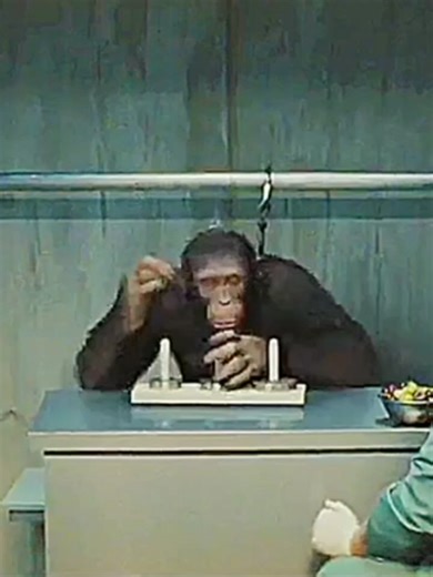 Os vídeos de Felmax Movie (@felmax.movie) com som original - Felmax Movie