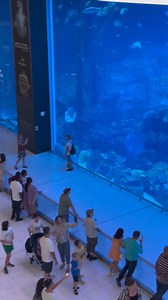 153K views · 7.8K reactions | Dubai Mall Aquarium  | Welcome to Dubai | Facebook