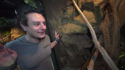 How a rare transparent hatchling revealed secrets hidden beneath the skin