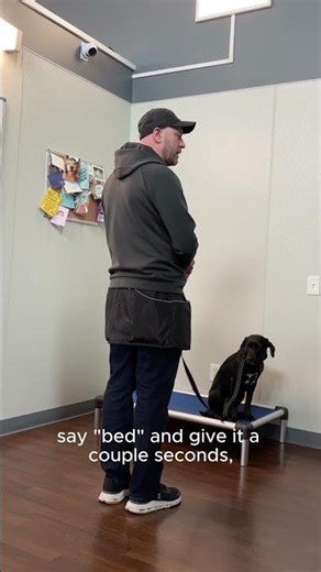 Teaching Verbal Cues (with Matt)