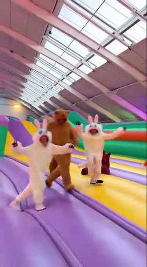 Animal Onesies Party Time 🎉 | Fun, Comfort, and Style for Everyone