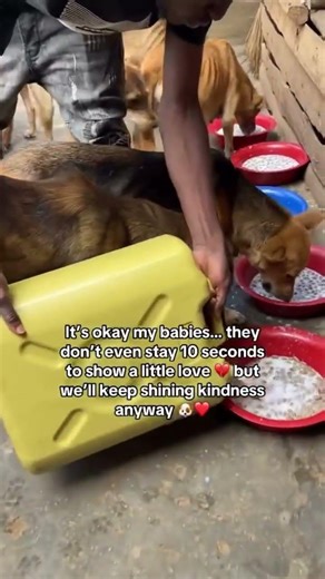 Hey 👋 friend I’m sorry to bother you. We have reached a breaking point.Our shelter has no food.