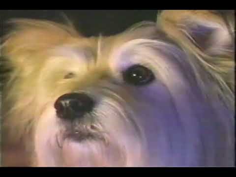 Nabisco Cookie Queen Nintendo Promotion Commercial TV Ad