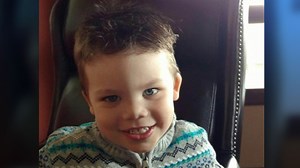 Parents will not sue Disney over gator attack