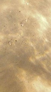 30K views · 191 reactions | Transition so smooth u didn't see it  #underwater #ocean #saveouroceans #savetheturtles | CEO Of The Ocean | Facebook