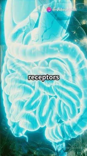 Loperamide: The Diarrhea Stopper! #pharmacology #science #pharmcist #pharmecy #facts