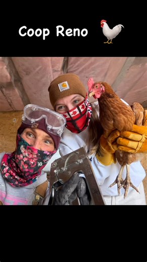 Corrine Schmidt Hindson on Reels