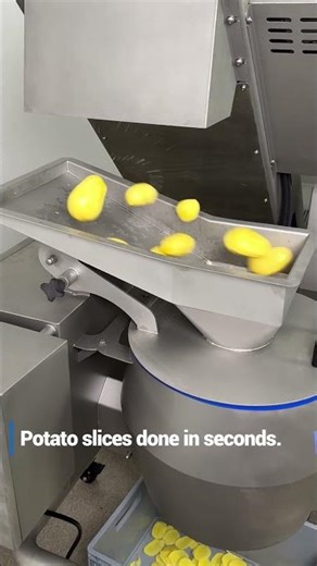 Rotary Cutter RC250 with Prewashing Machine – Potato Slicing in Action 🥔 #shortsr