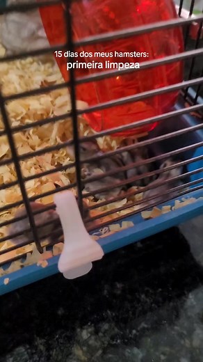 Cuidados e Limpeza da Gaiola dos Hamsters