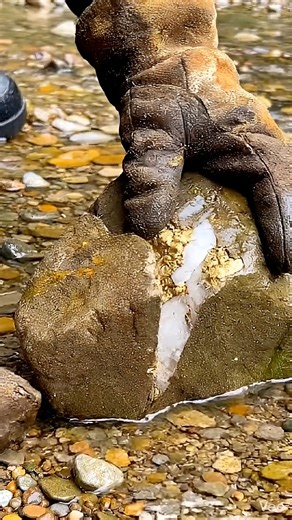 Natural Gold Found in a Yellow Stream | Real Geological ASMR A strictly realistic geological field scene filmed beside a shallow, yellow-tinted stream shaped by iron-rich sediment. A single rock, partially submerged in slow-moving water, is carefully struck and breaks open along natural stress lines — revealing native alluvial gold trapped within quartz and compacted sediment layers. No music. No narration. Only real textures, natural sound, and authentic geology. #AlluvialGold #NaturalGold #Geo