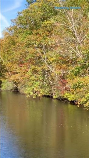 Aesthetic Autumn Afternoon