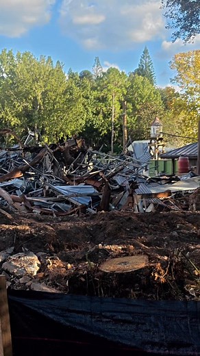 🚧 November 2025 Construction Update 🦖➡️🦜 Big changes are underway at Disney’s Animal Kingdom as the demolition of DinoLand U.S.A. continues and construction ramps up for the all-new Tropical Americas area. From the ground to the skies, the transformation across Diggs County is becoming more noticeable each week and the future of this corner of the park is starting to take shape. 🌴#disneyimagineering #disneynews #wdw #disneyanimalkingdom #DisneyWorld #waltdisneyworld | Disney World Tom