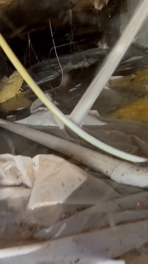 1.4K views · 6.8K reactions | Burst main water line repair #plumbing #plumbingrepair #leak | Plumb Hero | Facebook