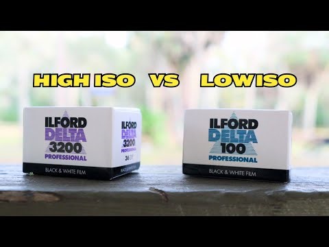 How To Pick The Right ISO for Film Photography