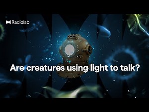 The Glow Below | Radiolab Podcast