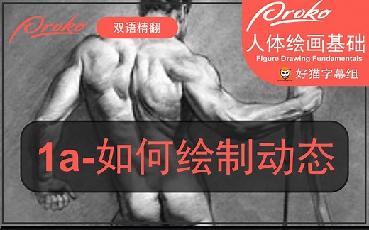 1a-如何绘制 "Gesture"动势【prokor人体绘画基础】