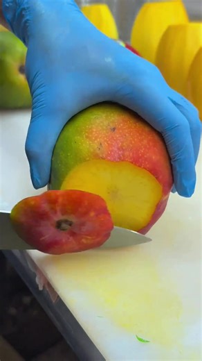 Quả Mít Review Số 39: Bí Ẩn Trong Nhà Trọ