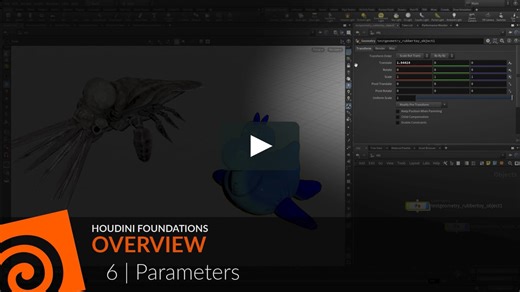 Houdini Foundations | Overview 6 | Parameters