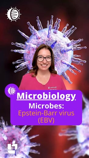 53K views · 535 reactions | Cathy provides an overview of the...