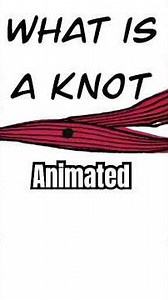 What is a Muscle Knot Animated