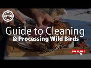 A Hunter’s Guide to Cleaning and Processing Wild Birds