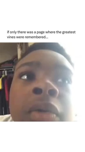 Funny Vines on Instagram: "follow (us) @oldtimevine for more funny vines 😂 “Vines” a Short, looping video clips that became viral internet memes, known for their humor, randomness, and quotable moments, typically originating from the Vine app 🌿 #reels #funny #vine #memes #viral #explore #nostalgic"